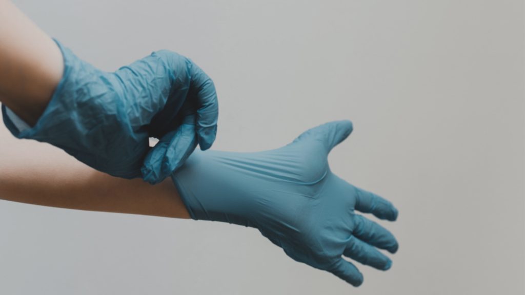 Someone puts on blue latex gloves.