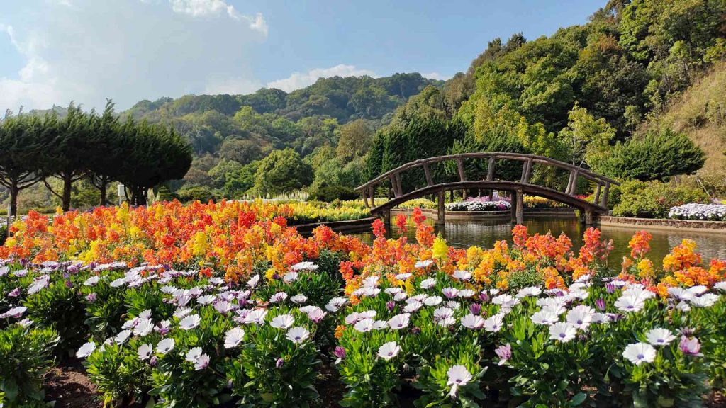A bridge over a pond in a botanical garden.